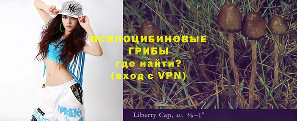 кристаллы Инта