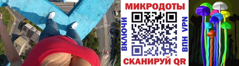 Псилоцибиновые грибы Cubensis  Купить где  Няндома 