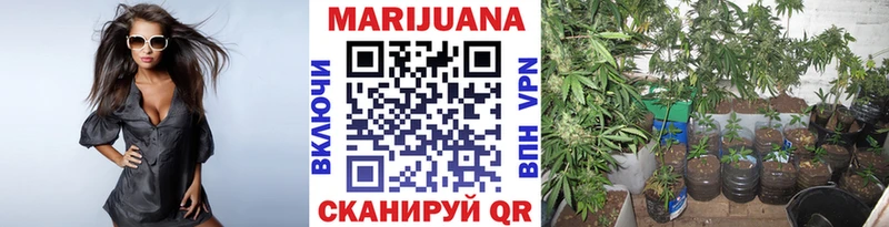 Каннабис конопля  Купить где  Няндома 